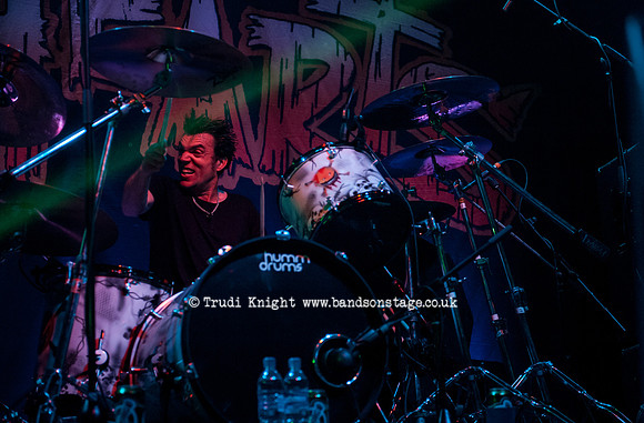 The Wildhearts