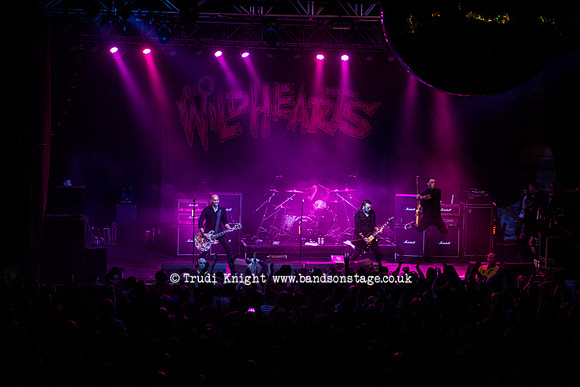 The Wildhearts