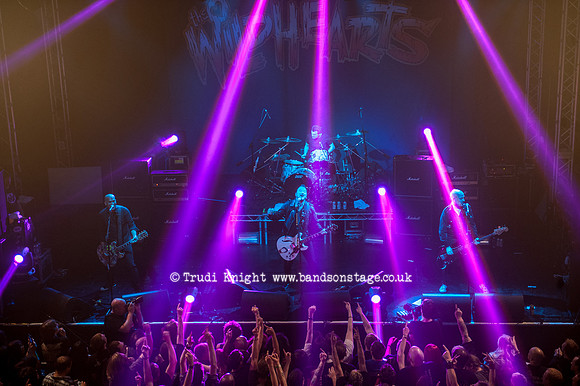 The Wildhearts