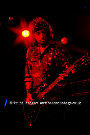 The Wildhearts