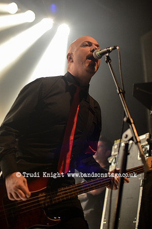 Ginger Wildheart Band