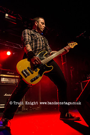 The Wildhearts