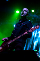 The Wildhearts