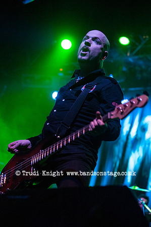 The Wildhearts