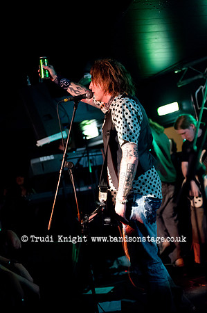 Ginger Wildheart