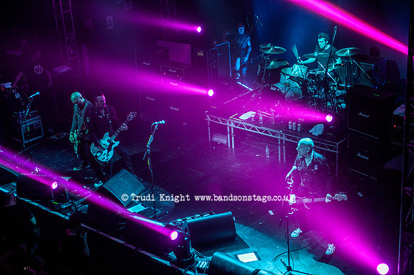 The Wildhearts