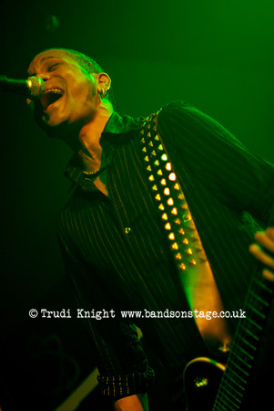 The Wildhearts