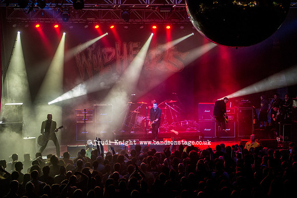 The Wildhearts