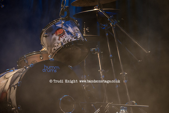 The Wildhearts