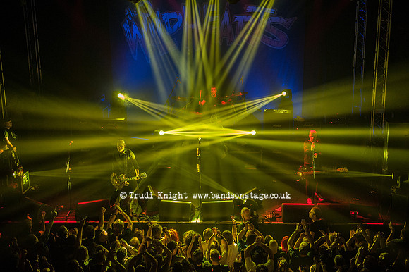 The Wildhearts