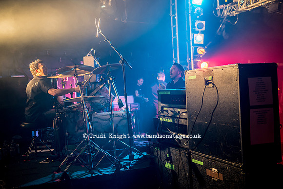The Wildhearts