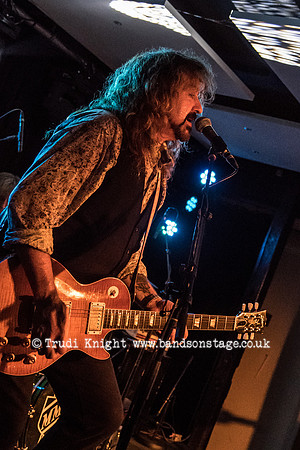 Dan Baird & Homemade Sin