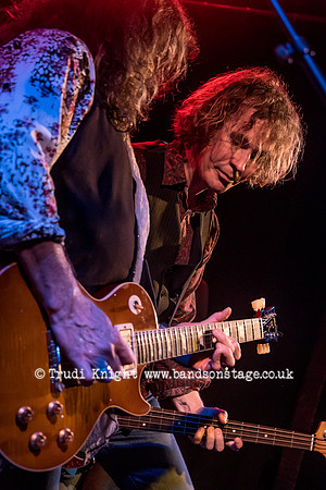 Dan Baird & Homemade Sin