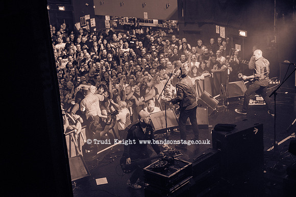 The Wildhearts