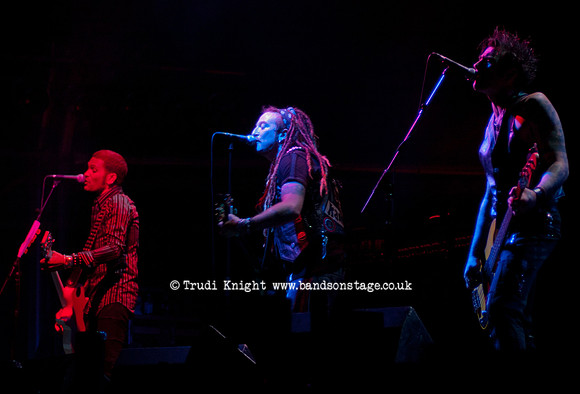 Wildhearts Scarborough Castle 2005