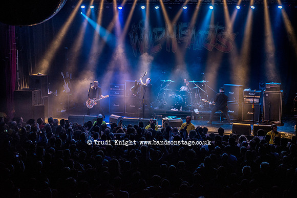 The Wildhearts