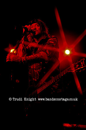 The Wildhearts
