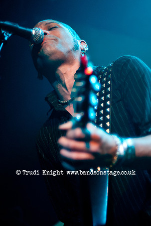 The Wildhearts
