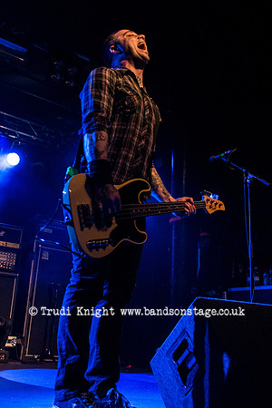 The Wildhearts