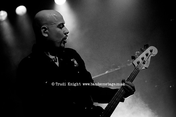 The Wildhearts