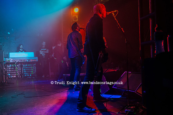 The Wildhearts