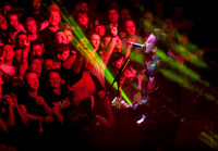 The Wildhearts