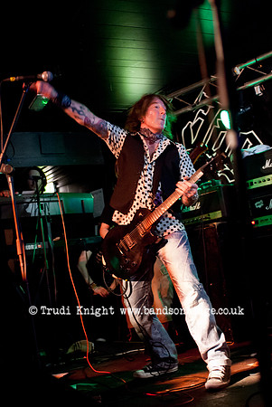 Ginger Wildheart
