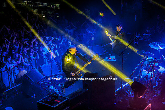 The Wildhearts