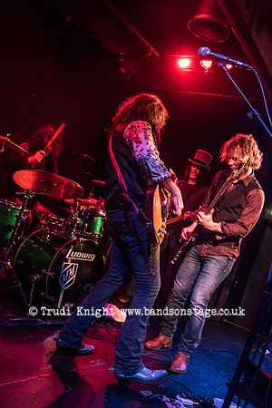 Dan Baird & Homemade Sin