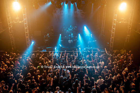 The Wildhearts