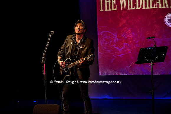Ginger Wildheart Songs and Words