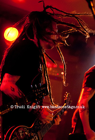 The Wildhearts