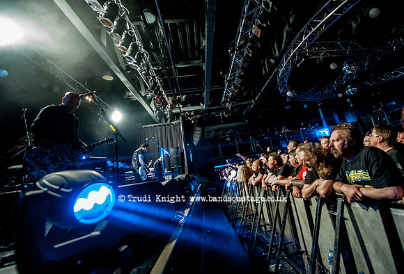 The Wildhearts
