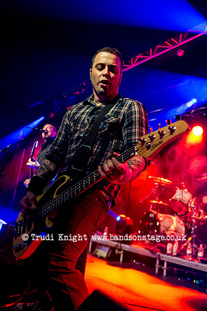 The Wildhearts