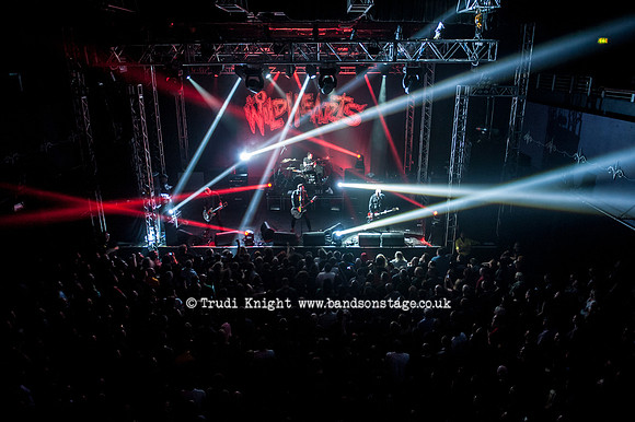 The Wildhearts