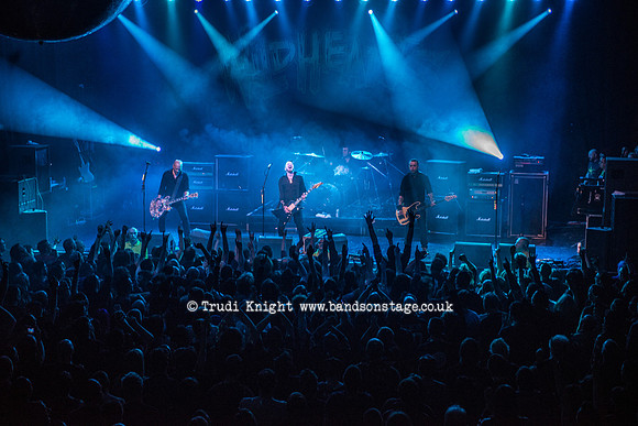 The Wildhearts