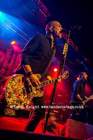 The Wildhearts