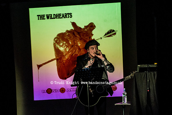Ginger Wildheart Songs and Words