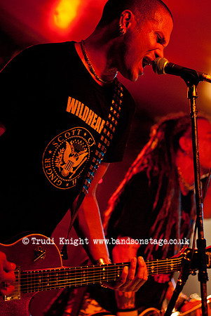 The Wildhearts