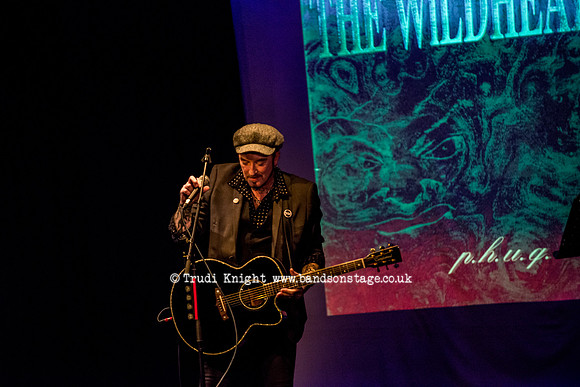 Ginger Wildheart Songs and Words
