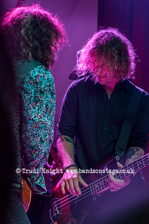 Dan Baird & Homemade Sin