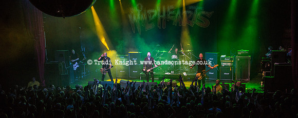 The Wildhearts