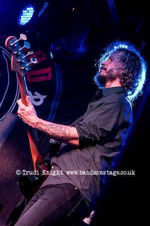 Dan Baird & Homemade Sin