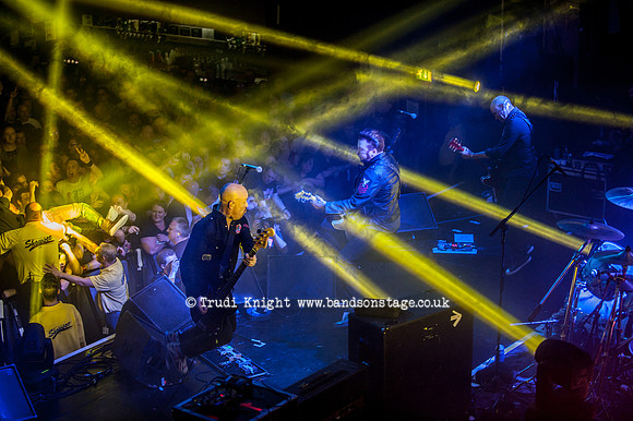 The Wildhearts
