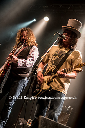 Dan Baird & Homemade Sin