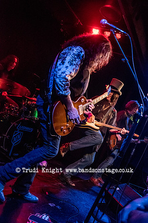 Dan Baird & Homemade Sin