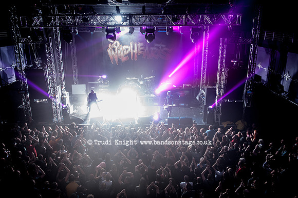 The Wildhearts