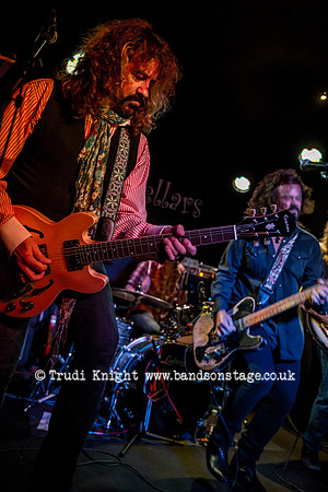 The Bluefields