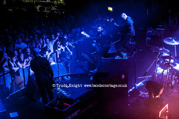 The Wildhearts