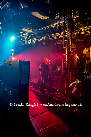 The Wildhearts